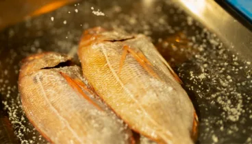 Pescado fresco en La Perla de Jávea