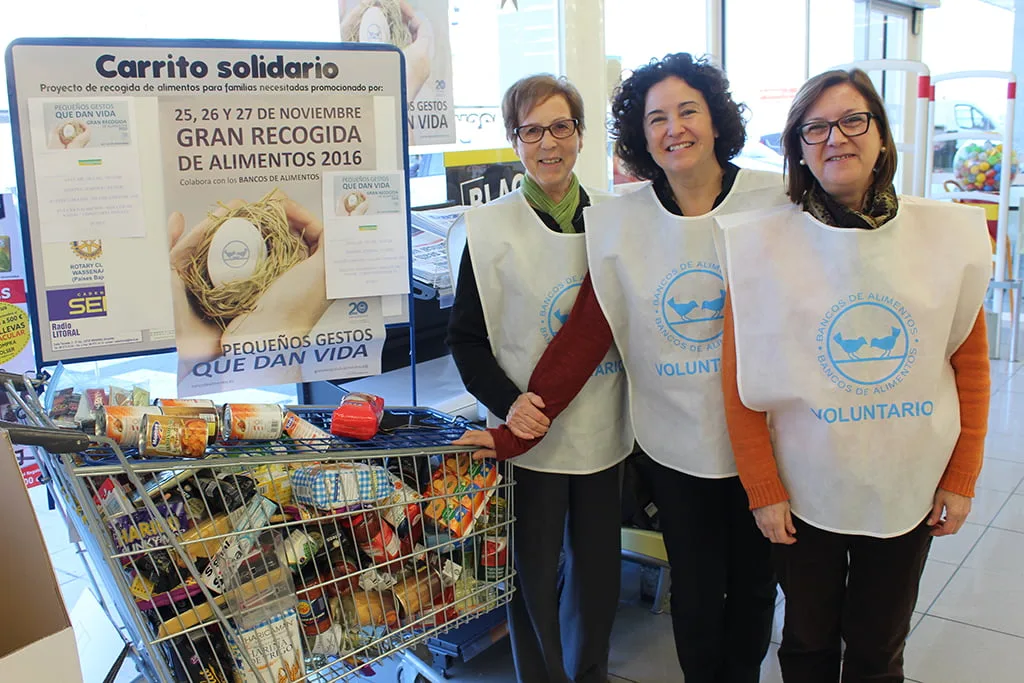Voluntarias