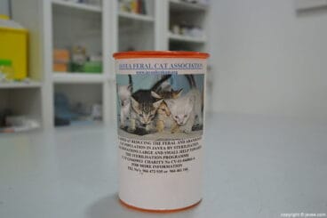 Jávea Feral Cat Association Centro Veterinario La Nao