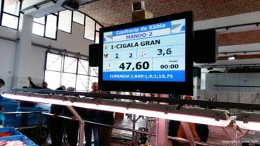 Panel de subasta de Cigala Grande