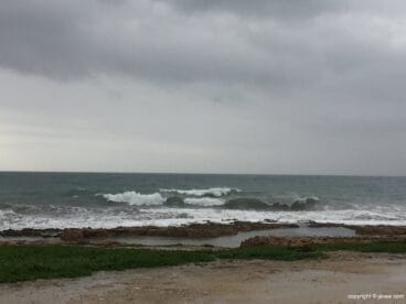 temporal alerta naranja