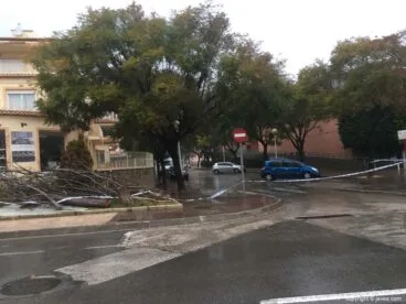 08 Incidentes a causa del viento
