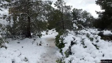 103 Nieve en Xàbia