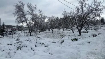 107 Nieve en Xàbia
