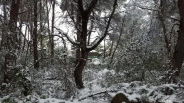 112 Nieve en Xàbia