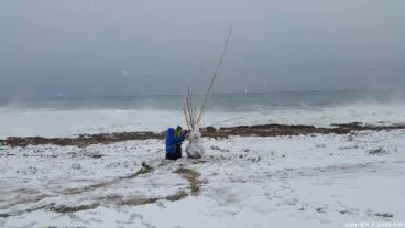 Niños con la nieve