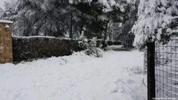 45 Nieve en Xàbia