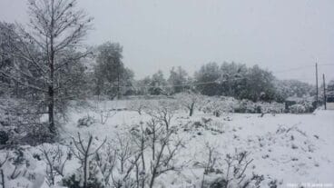 51 Nieve en Xàbia