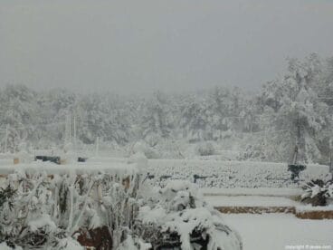 53 Nieve en Xàbia