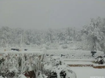 53 Nieve en Xàbia