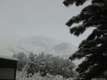 55 Nieve en Xàbia