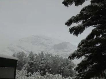 55 Nieve en Xàbia