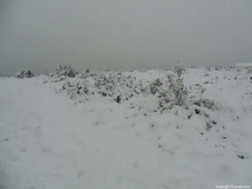 57 Nieve en Xàbia