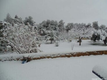 58 Nieve en Xàbia