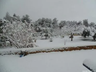 58 Nieve en Xàbia