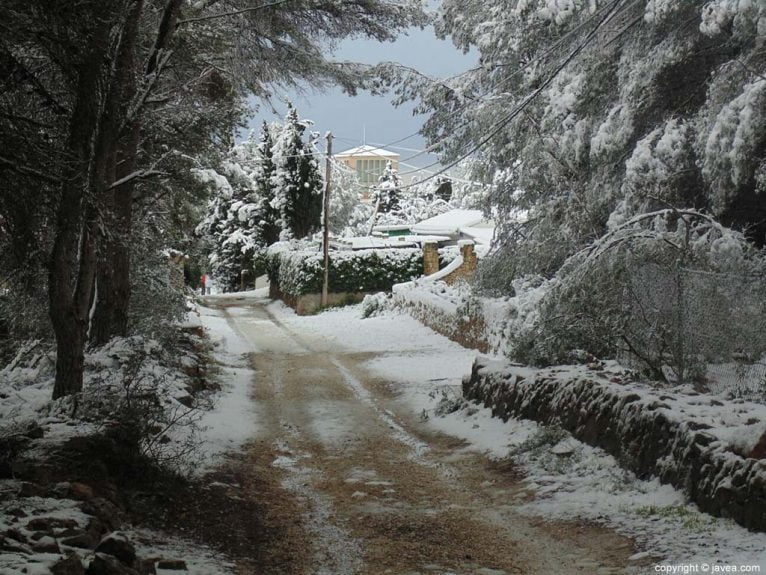 58 Nieve en Xàbia