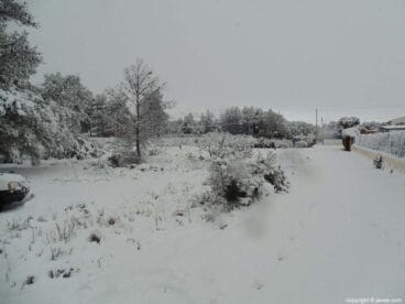 59 Nieve en Xàbia