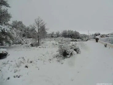 59 Nieve en Xàbia