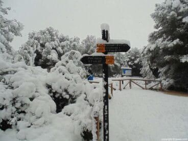 60 Nieve en Xàbia