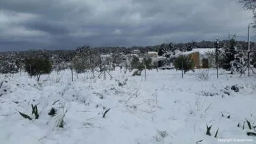 73 Nieve en Xàbia