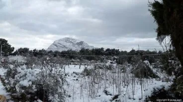 75 Nieve en Xàbia