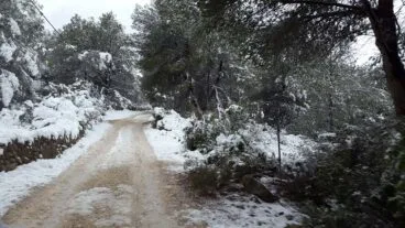78 Nieve en Xàbia
