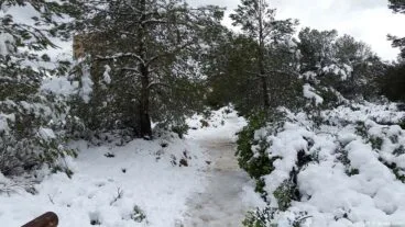 81 Nieve en Xàbia