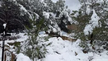 82 Nieve en Xàbia