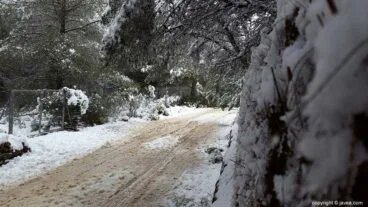 85 Nieve en Xàbia