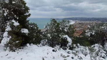 94 Nieve en Xàbia