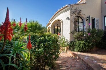 Acuarela Aguila Rent a Villa