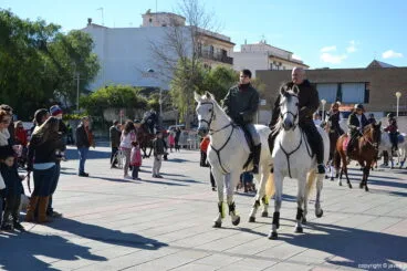 Caballos en la bendición