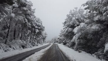 Carretera Jesus Pobre
