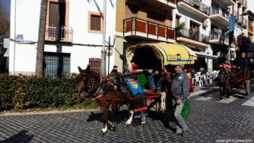 Carros y caballerías en el desfile