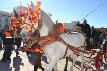 Fiestas Sant Antoni