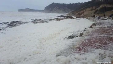 Temporal