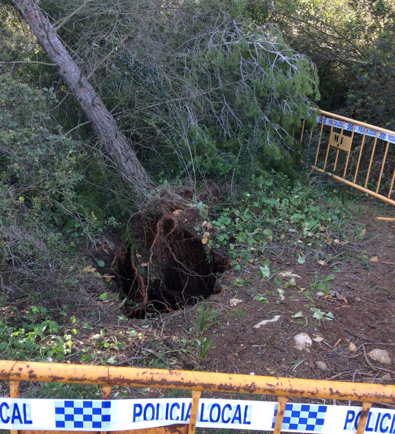 Aparece sima en la Plana