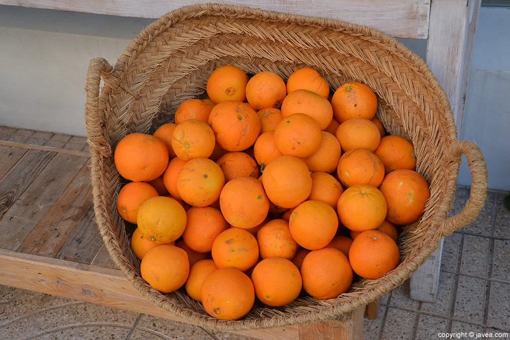 Naranjas BIO HURTADO