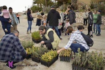 Plantan nuevas especies de carrasca y algarrobo