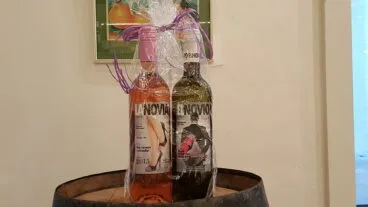 San Valentín Vins i mes