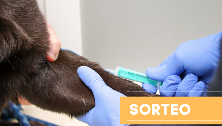 Centro Veterinario Animalets sortea una vacunacion anual y desparasitación interna para perro o gato