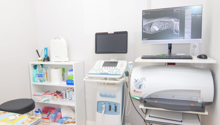 Radiología digital_ imágenes nítidas para un diagnóstico preciso