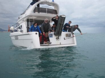 Suelta de la tortuga