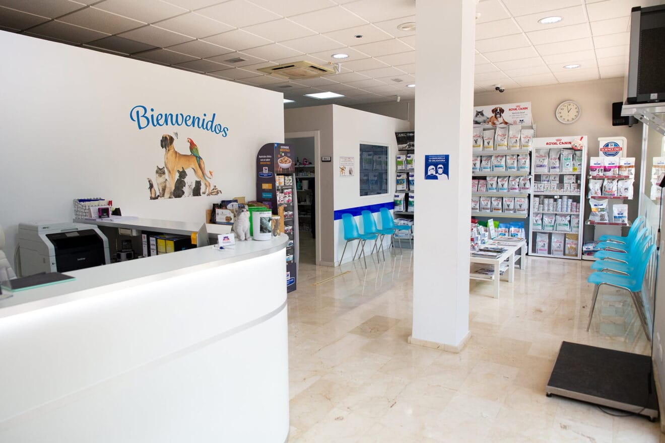 Veterinario en Jávea - Centro Veterinario Animalets