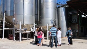 Visita guiada a Bodegas Xalo