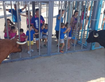 Carretons Fogueres Xàbia