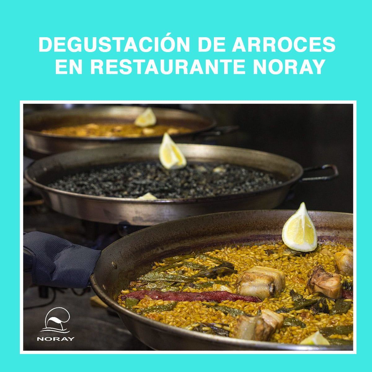 Degustación de arroces Restaurante Noray