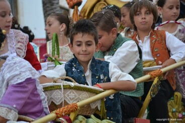 Desfile de carrozas de Fogueres 2017