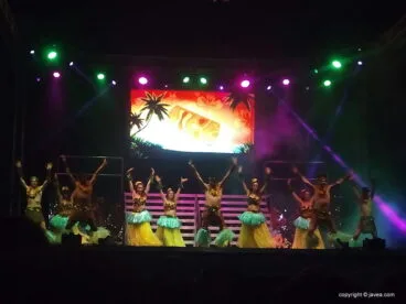 Espectáculo Dancing Las Vegas