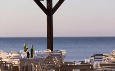 Terraza Restaurant Noguera